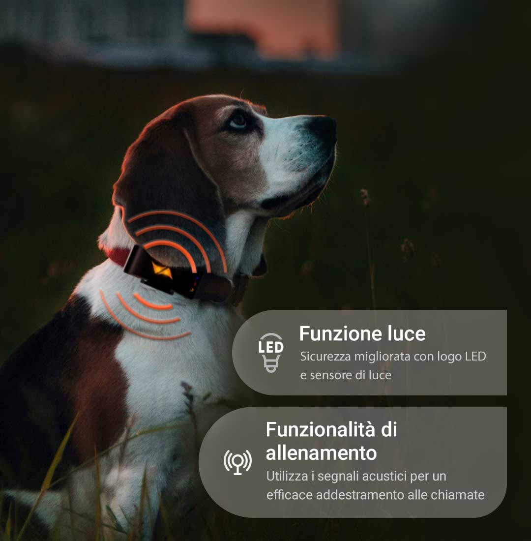 Funzione luce LED PET Finder mobile