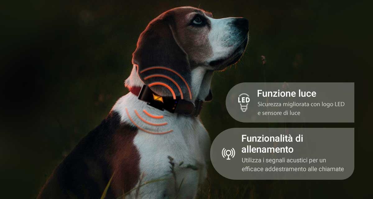 Funzione luce LED PET Finder