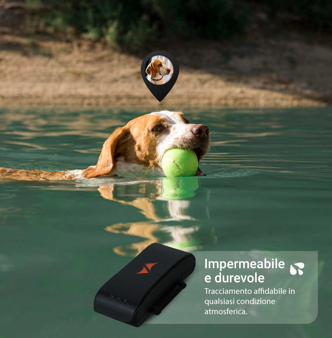 Impermeabile e durevole PET Finder 4G mobile