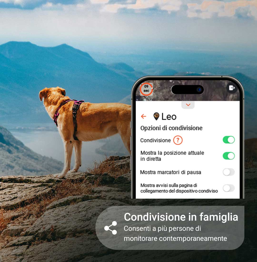 app per la condivisione della famiglia - mobile