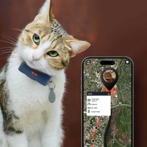 Gatto con Localizzatore GPS al collo e Smartphone per geolocalizzarlo